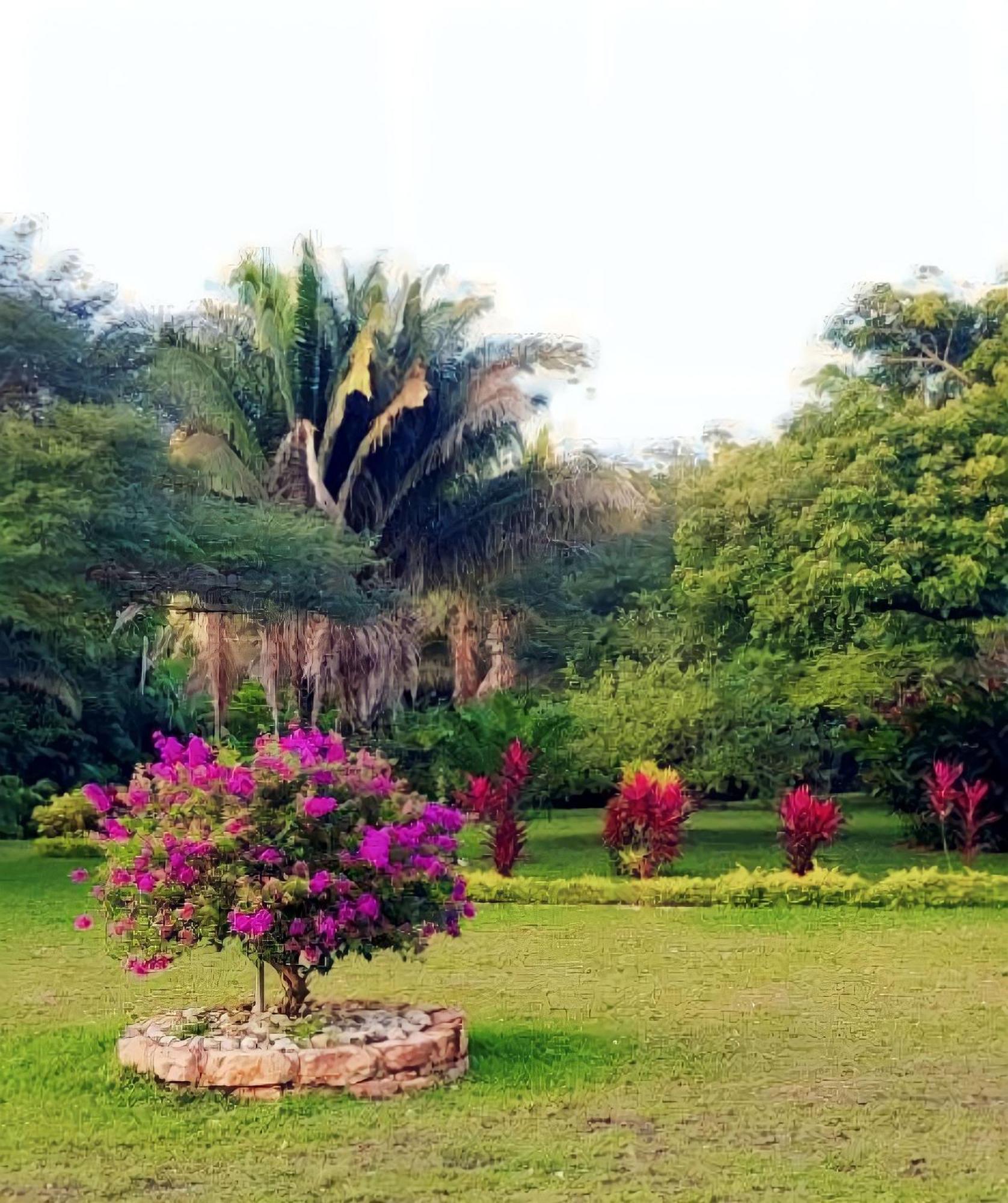 Lagoon Village B&B Y Spa Tarapoto Eksteriør billede